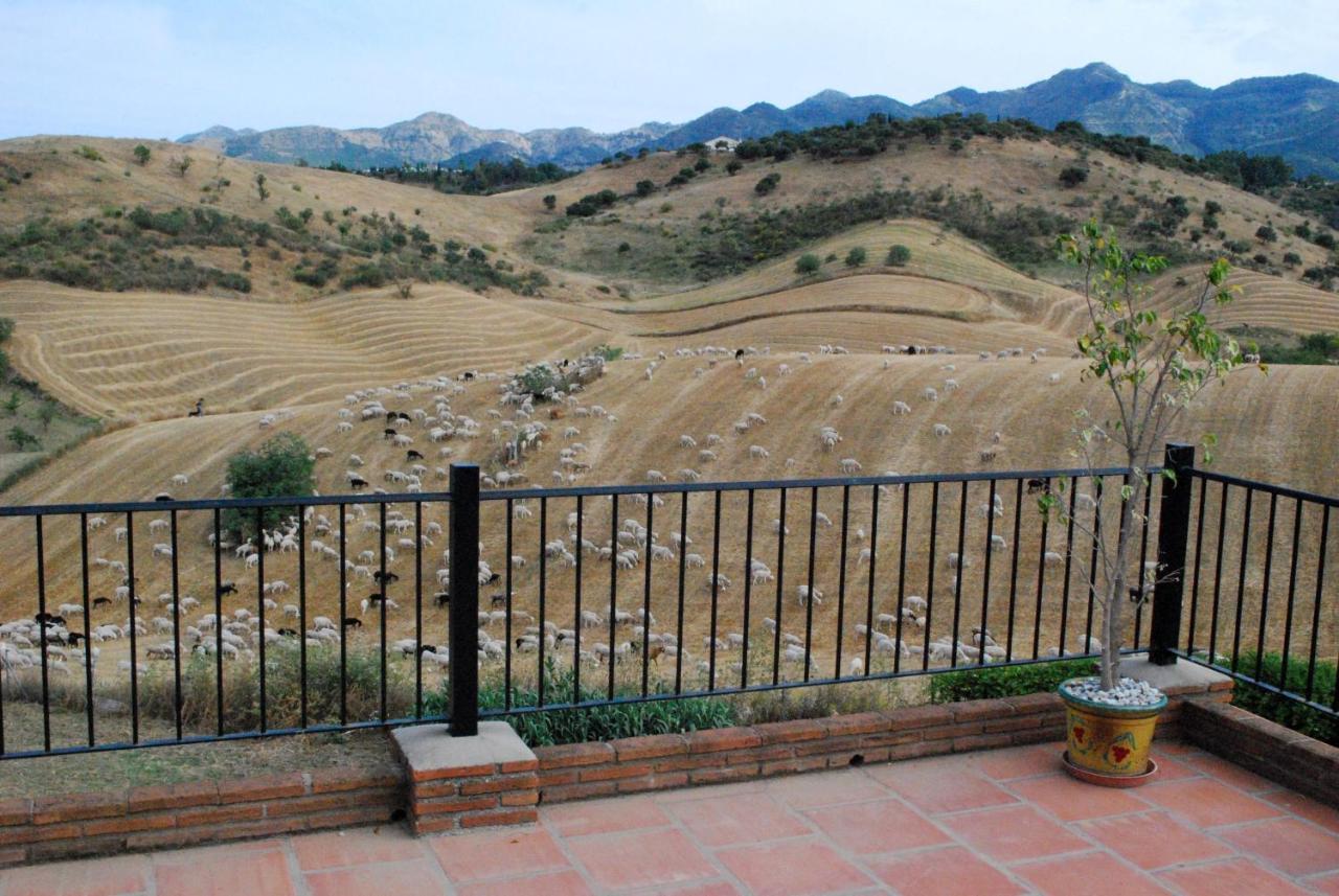 Alhaurín de la Torre Bed & Breakfast Finca De Los Suenos מראה חיצוני תמונה