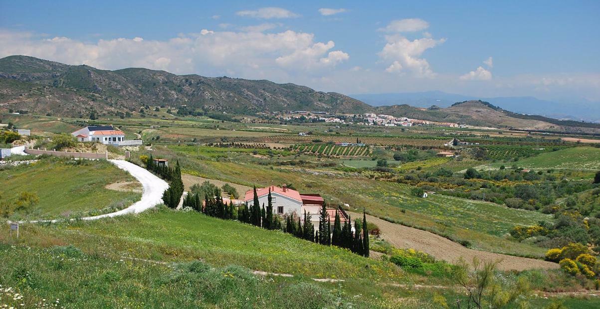 Alhaurín de la Torre Bed & Breakfast Finca De Los Suenos מראה חיצוני תמונה